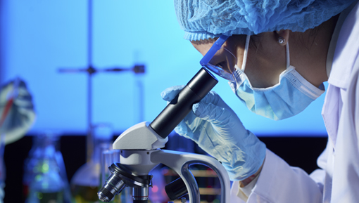 Examining Sample with Microscope